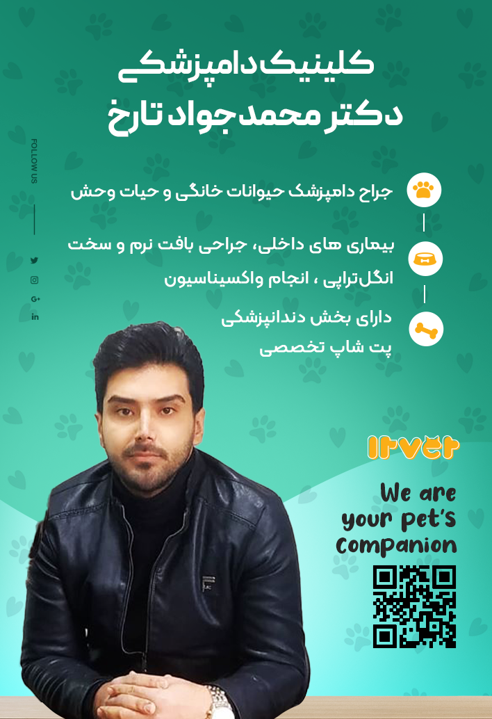 کلینیک دامپزشکی دکتر تارخ